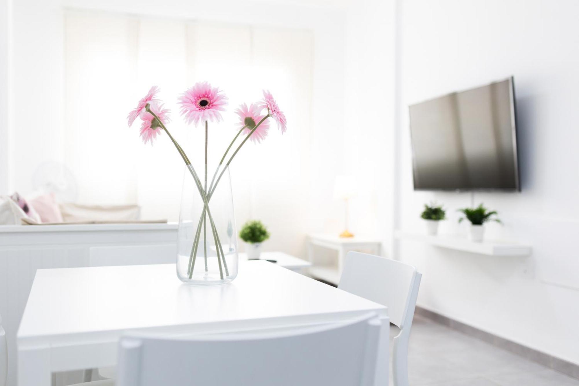1d- Rocinante Apartments, Puerto Del Rosario * Puerto del Rosario (Fuerteventura)